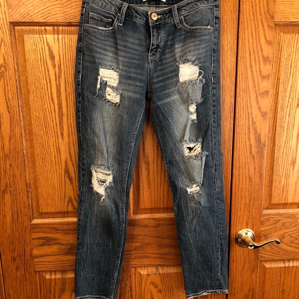 Daytrip Refined Lynx Skinny Jeans
